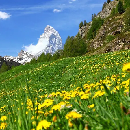 A-2 By Interhome * Zermatt